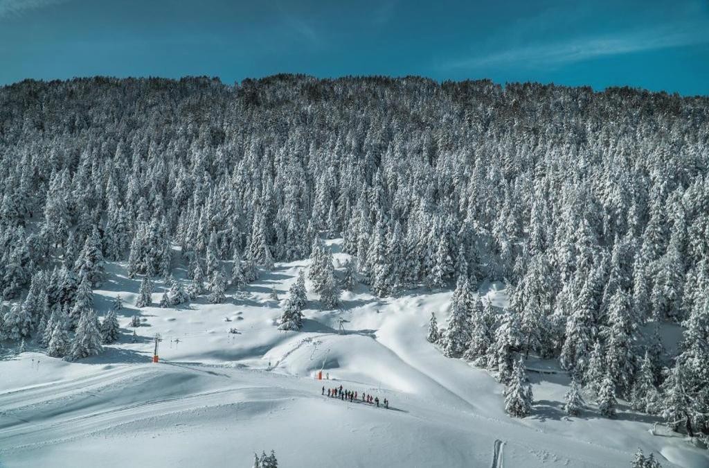 Apartaments La Neu-Mountain Lodges & Restaurant