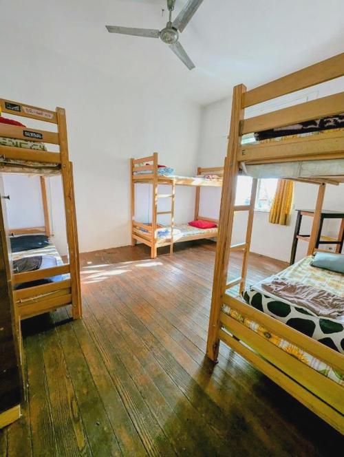 Tirana Backpacker Hostel