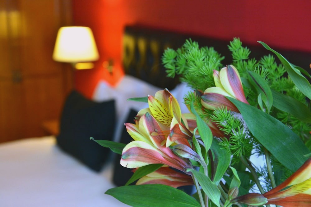 Centuria Hotel