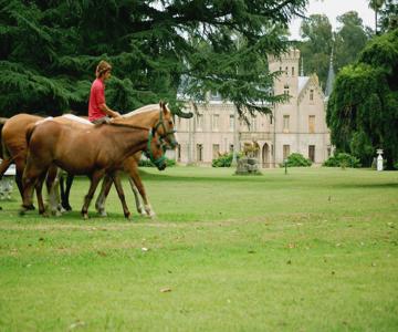 Estancia la Candelaria