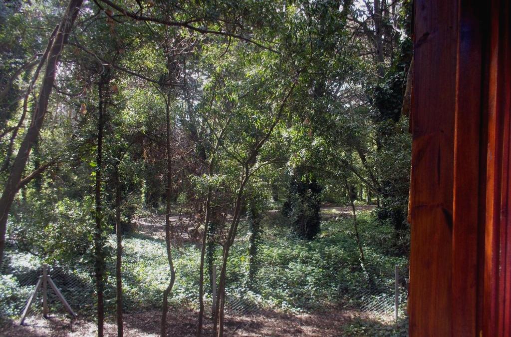 Cabañas Las Sirenas