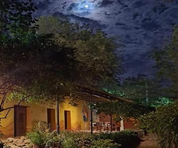 Las Cañas