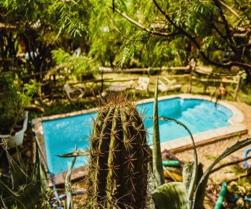 Cabañas de Montaña Rio Amarillo