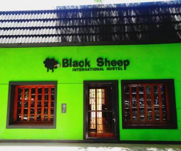 Black Sheep International Hostel
