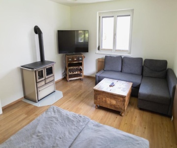 Familytime Am Traunsee