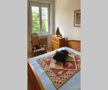 Cozy Condo Close To Town, Castle, Lake And Hiking