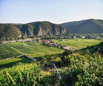 Winzerhof Mörtinger