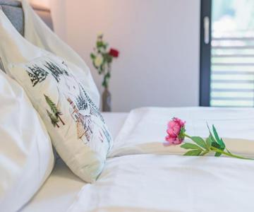 Chihuahua's Ötscher Apartment, But People Are Also Very Welcome In Our Eco-friendly Resort!