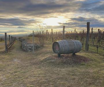 Ferienwohnung Langenlois