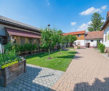 Dorfzeit-fleischhacker