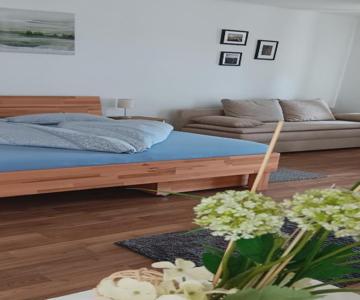 Schloss-appartements