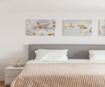 Kracher Familienapartment Mit Nationalparkblick