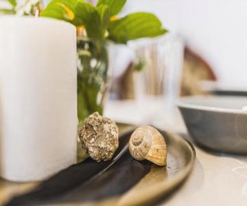 Wohnatelier Im Bioweingut