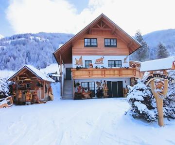 Apartment Bergwiese 225