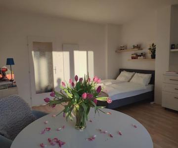 Studio Mit Terrasse In Zentraler Lage