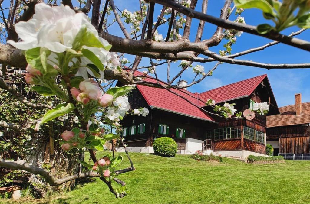 Ferienhaus Müller Bauernhaus