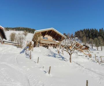 Apartment In Viehhofen Near Ski Lifts