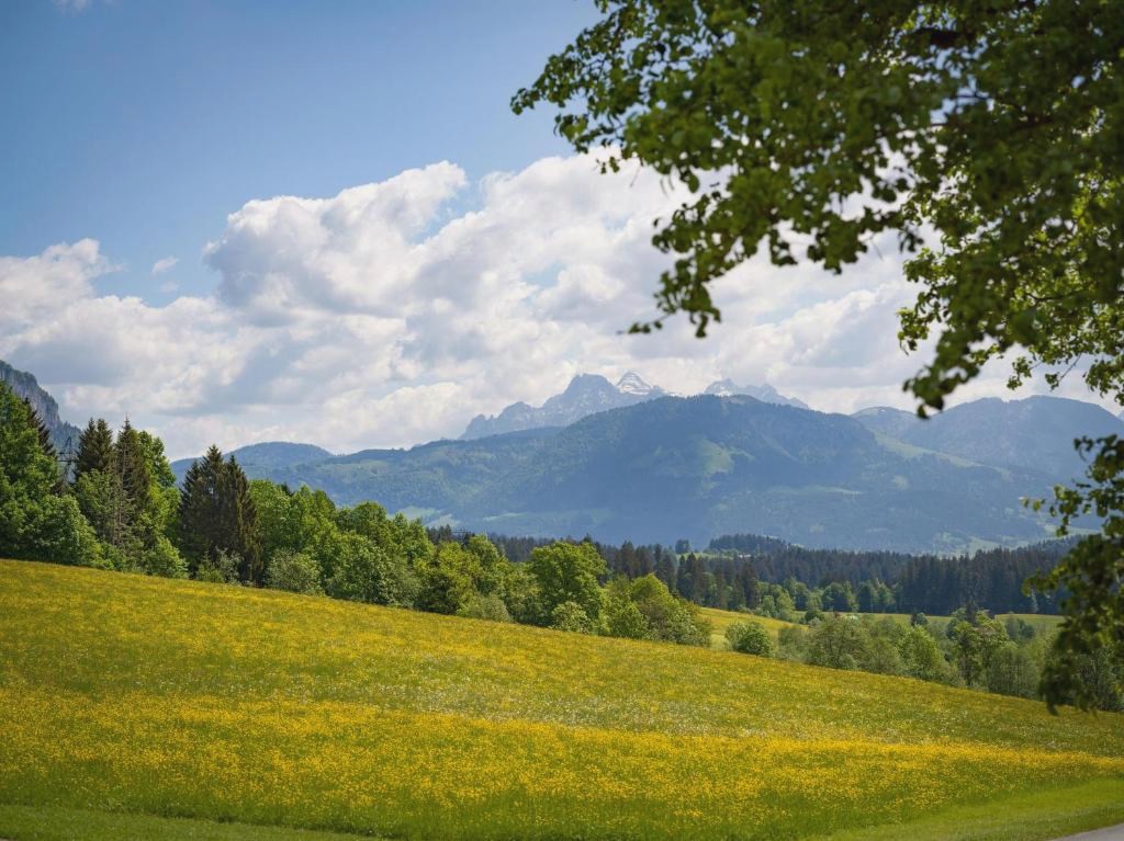 Weitblick