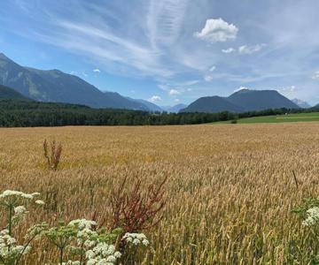 Ferienwohnung Am Bauernhof
