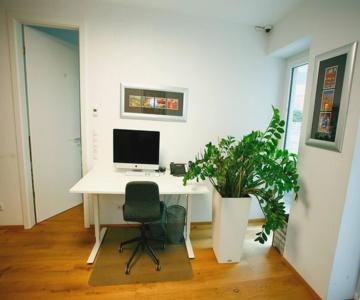 Central Apartments Vienna