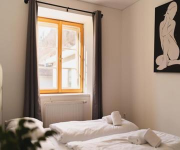 Homy Bludenz Alpine Panorama