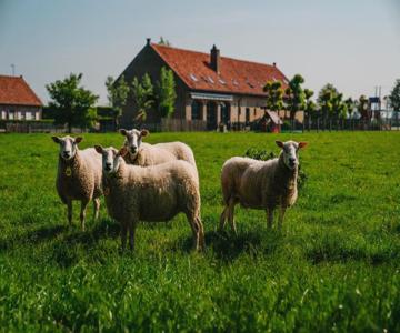 Hoevehotel Ter Haeghe