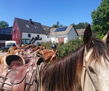 Hof Kriemisch