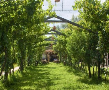 Hosteria Bodega Valle Divino