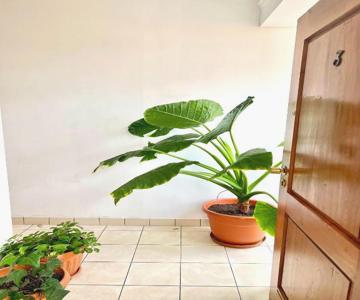 Hostal Urbano