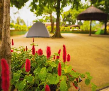 Raio De Sol Pousada & Camping