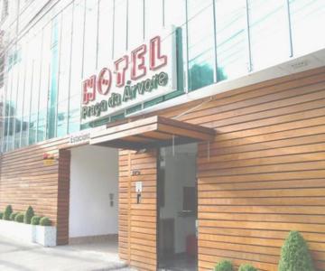 Hotel Praça Da Árvore