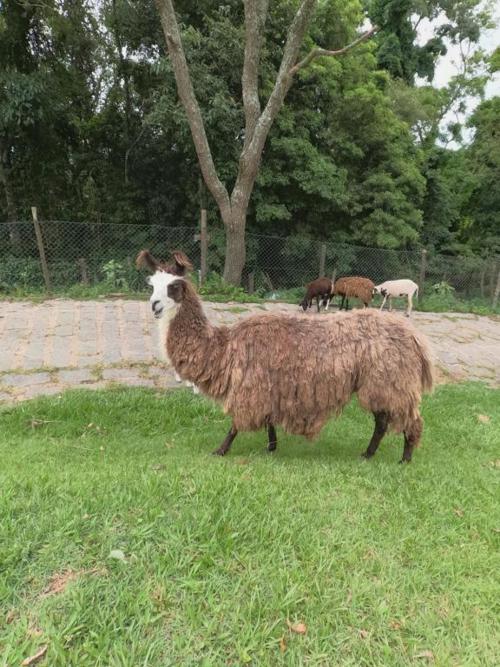 Aldeia Lazer Culinária E Cia