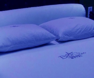 Motel Blue Star II