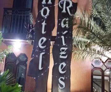 Hotel Raizes