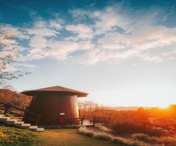 Pipas Do Vale - Vale Dos Vinhedos