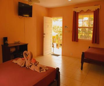 Tropical Paradise Hotel