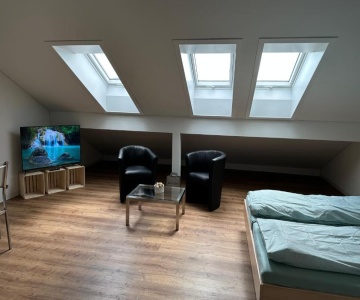 Neue Einzimmer Dachwohnung