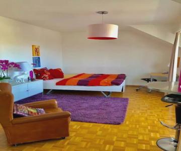 Ganze Wohnung Mit Balkon,schöne Aussicht,küche,bad,wifi