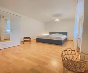 Business-Wohnung Messe Basel
