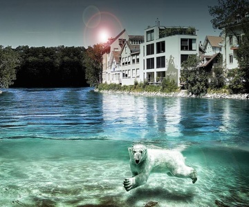 Sonnen Loft Bern - Bed & Breakfast