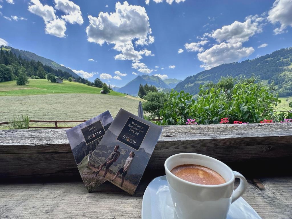 Alpenchalet Haldeli in Gstaad