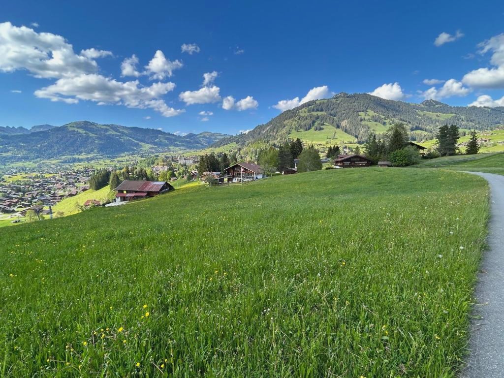 Alpenchalet Haldeli in Gstaad