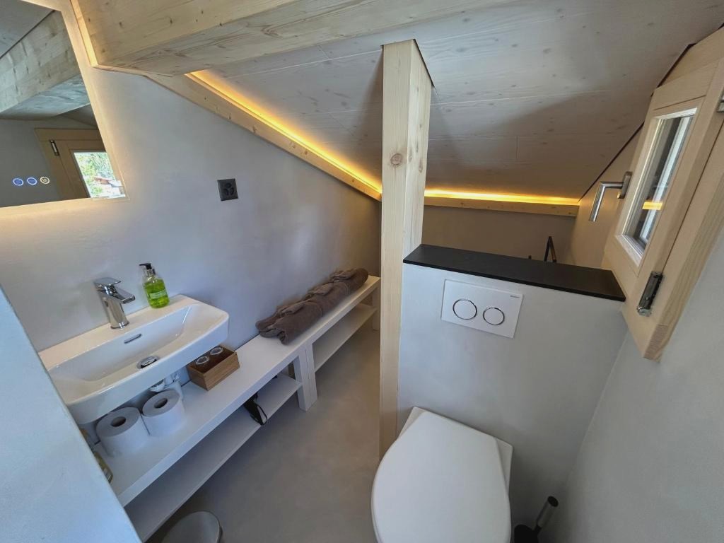 Alpenchalet Haldeli in Gstaad