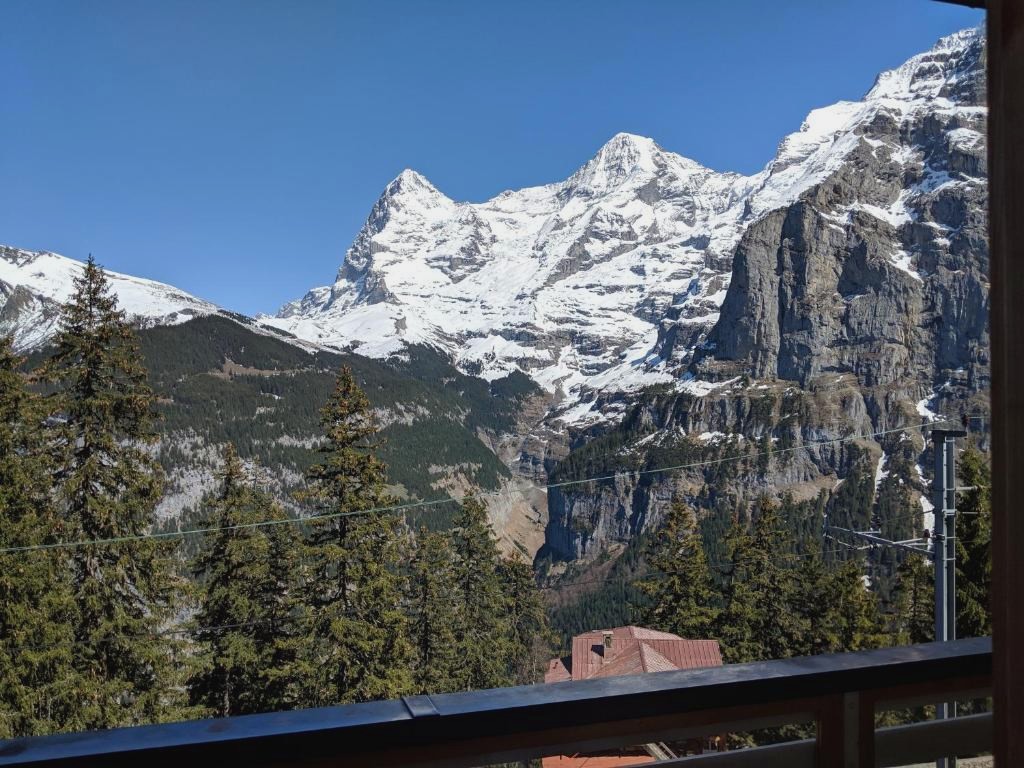 Hotel Alpenblick Mürren