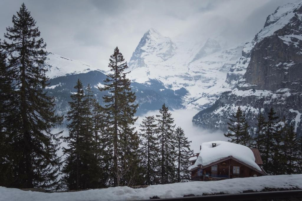Hotel Alpenblick Mürren