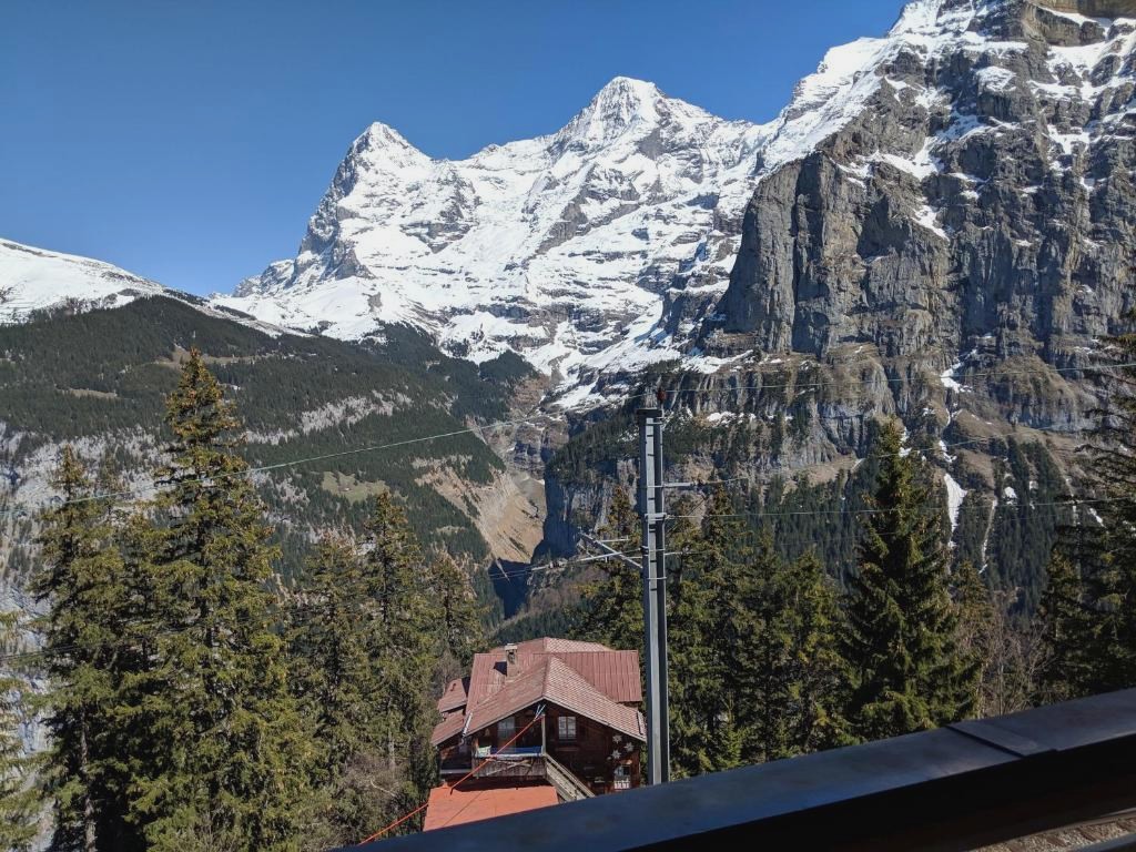 Hotel Alpenblick Mürren