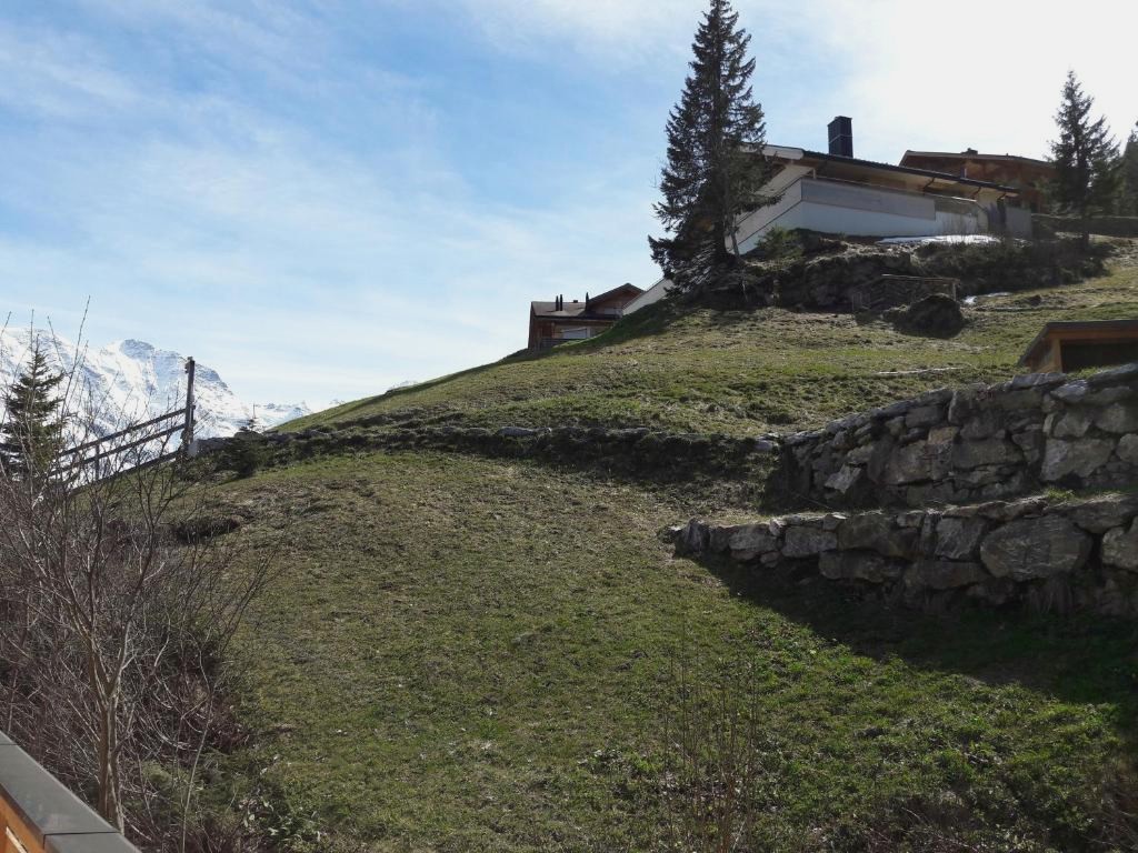 Hotel Alpenblick Mürren