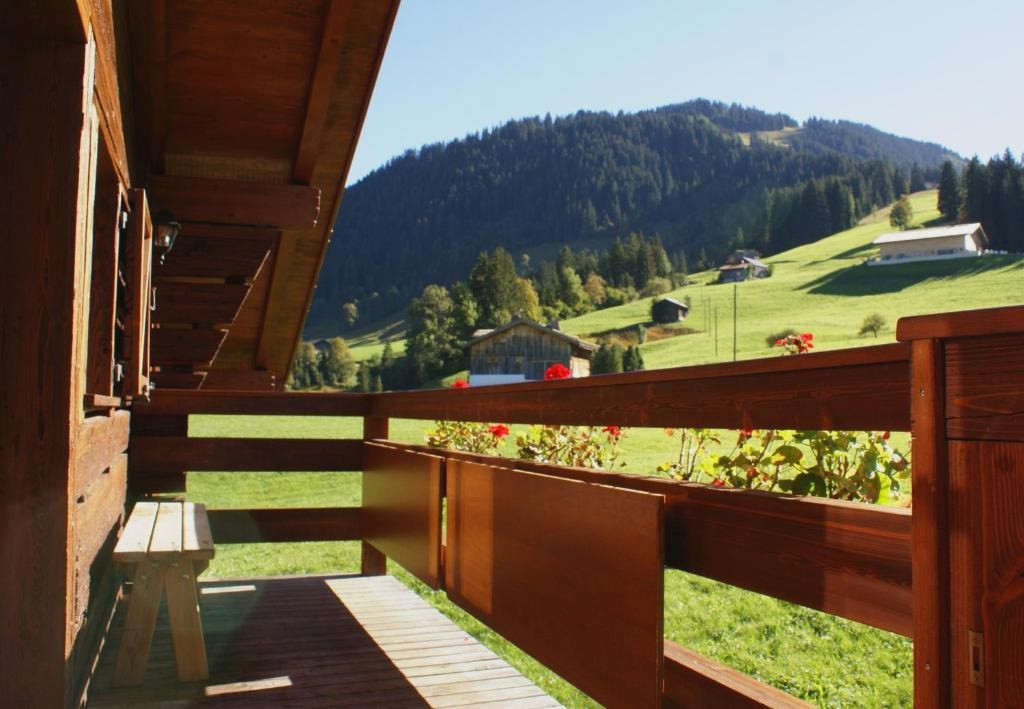 Alpenchalet Weidhaus Gstaad - diverse Wohneinheiten
