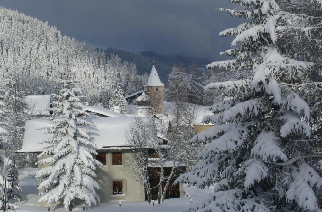 Hotel Alpina Parpan