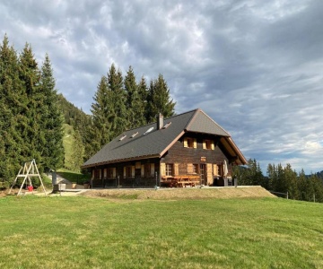 Chalet Schwendli